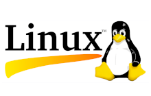 Suporte Servidores Linux
